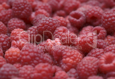 Raspberry background