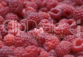 Raspberry background