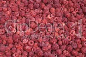 Raspberry background