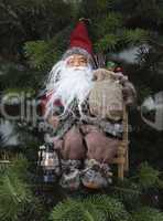 Santa claus on pine tree
