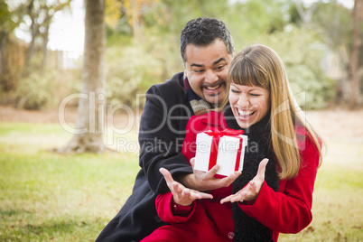 mixed race couple sharing christmas or valentines day gift outsi