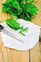 basil green fresh with scissors on a board