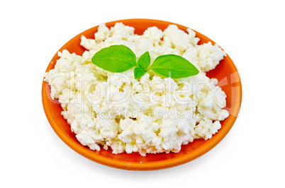 curd in a clay plate with basil