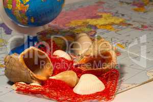 seashells and small globe on a book with a geographical map.