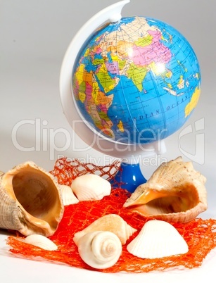 seashells and small globe on red net