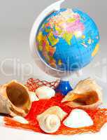 seashells and small globe on red net