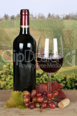 Rotwein in Weinflasche in Weinbergen