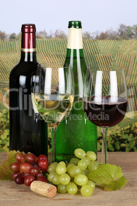 Rotwein und Weißwein in Flaschen