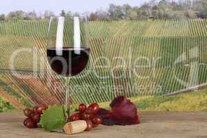 Rotwein in Weinglas in Weinbergen