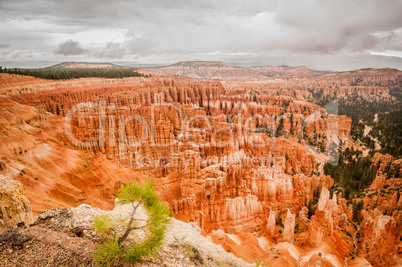 bryce canyon red amphitheater