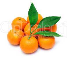 ripe tangerines or mandarin with leaf isolated on white backgrou