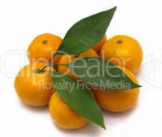 ripe tangerines or mandarin with leaf isolated on white backgrou
