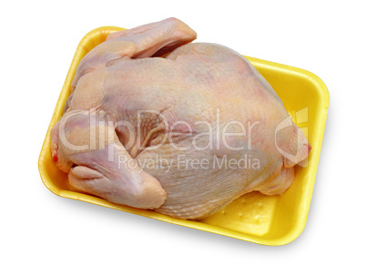 hen ready to preparation on a yellow substrate
