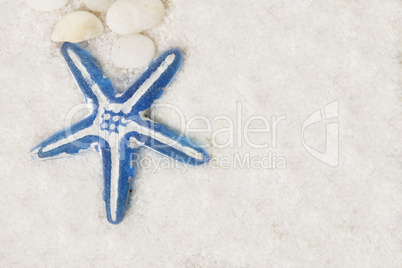 decoration starfish