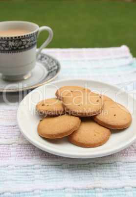 morning tea outdoor with biscuits