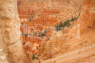 canyon bryce red rocks