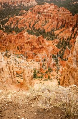 canyon bryce rocks and trees