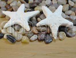 Small stones and starfish