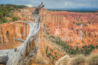 canyon bryce at rain