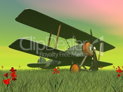 biplane on the grass - 3d render