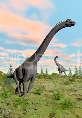 brachiosaurus dinosaurs - 3d render