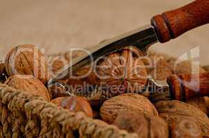 cracking walnuts