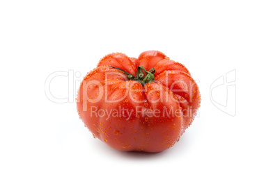 big red tomato close up