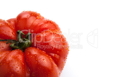 big red tomato close up