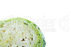 large cut cabbage close up