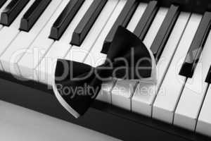 piano keys and bow