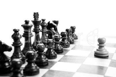 chess pieces on the board