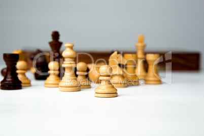 chess pieces on the board