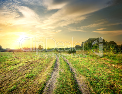 Sunrise and road in the field