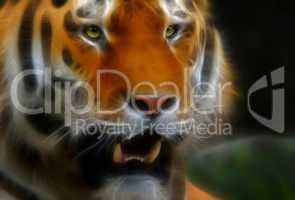 Illustration eines Tigers Portrait