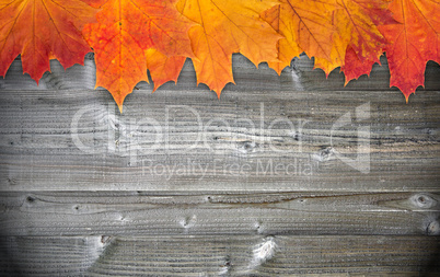 autumn foliage on wooden background