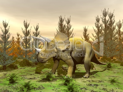 triceratops dinosaur - 3d render