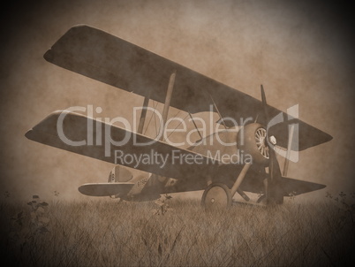 biplane on the grass - 3d render