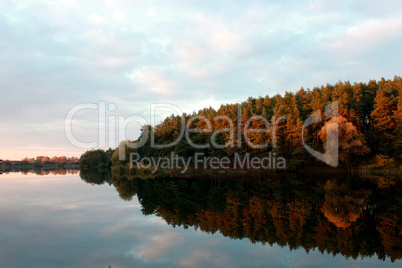 beautiful landscape with river and forest