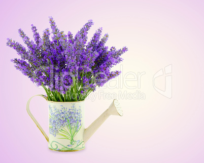 Watering can with plucket lavender