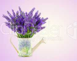 Watering can with plucket lavender