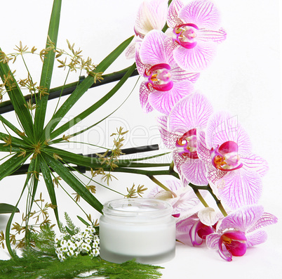 Face cream with herbs and pink orchids