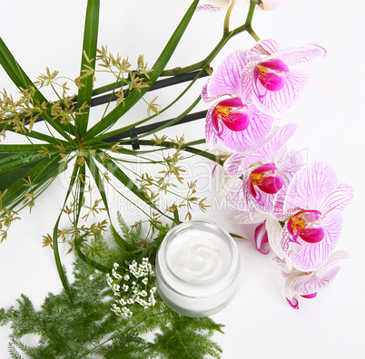 Face cream with herbs and pink orchids