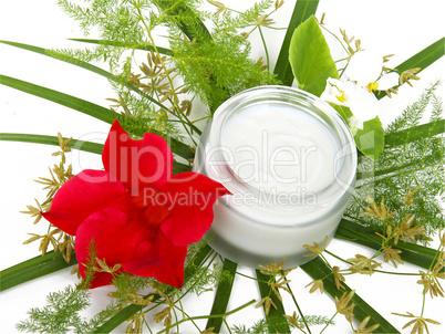 face cream with green leaves