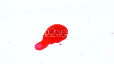 Blood drops on white background