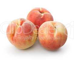 Three beautiful peaches