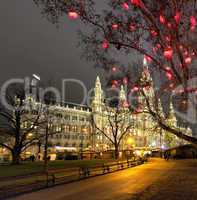 Vienna Town Hall and the traditional Christmas Market at night