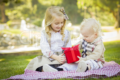 little girl gives her baby brother a gift at park.