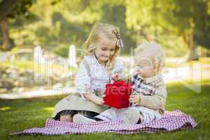 Little Girl Gives Her Baby Brother A Gift at Park.