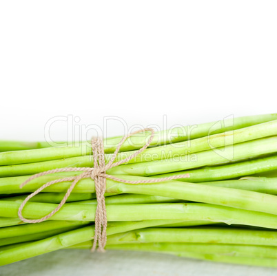 fresh asparagus over white