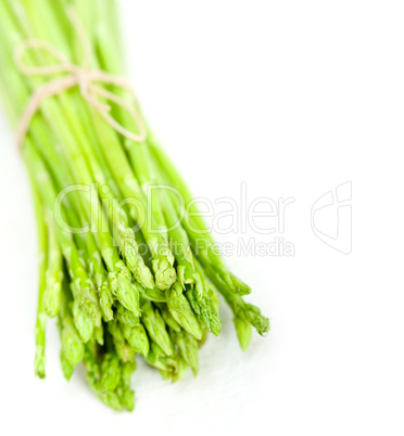 fresh asparagus over white